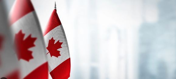 '20, 000 भारतीय छात्र कनाडा पहुंचे लेकिन पिछले साल कॉलेजों में आने में विफल रहे  | '